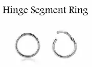 PAIR Thinnest 20G 1/4" Steel HINGED Segment Nose Ring Septum Clicker Daith Hoop