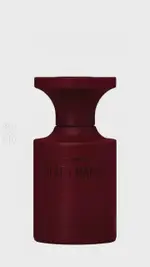 [Born to stand out] Black Mango - 15 ML EXTRACT