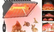 250W Brooder Heater for Chicks, Chicken Coop Heating Lamp Brooder, 7.86ft Gray