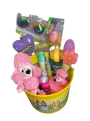 Bluey & Coco Girls Birthday Gift, Plush, Sunglasses, Slime, Candy, Toys & More