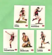 #D524. 1996 ESSENDON BOMBERS AFL SELECT STAND UP CARDS