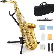AS-Ⅱ Student Alto Saxophone E Flat Gold Lacquer Alto Beginner Sax Full Kit
