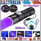 UV Rechargeable LED Flashlight 395 nm Inspection Lamp Torch USB Blacklight PB