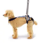 LALAWALK 小型犬簡易款後肢輔助帶--芥末黃/條紋/老犬/輔助用品/寵物介護/狗狗輔助帶