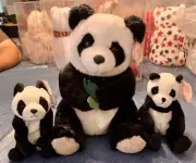 TY - Panda Bear Trio - Buddy (12”) & Beanies (6”) - MWMTs
