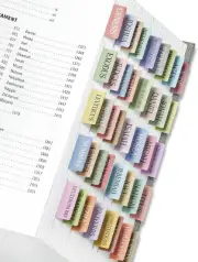 Repositionable Bible Tabs for Study - Large Print Index Labels (Pastel)
