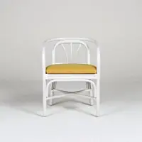 在飛比找momo購物網優惠-【山茶花家具】藤餐椅-藤條結構 室內椅DC112WW黃(白色