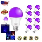 Glow in the Dark 12W Blacklight Bulbs - Perfect for Creative Parties & Events