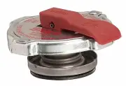 For 1966-1968 Fargo D200 Pickup-Safety Release Radiator Cap Gates 176ZK57