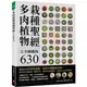 多肉植物栽種聖經完全圖鑑版630：集結60年研究經驗，栽培年曆獨家收錄！教你從外觀辨識、種植技巧、到組合盆栽應用，走進迷人的多肉世界！