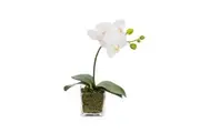 Glamorous Fusion Orchid 32cm White Artificial Faux Plant Decorative Arrangement In Square Glass