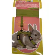 Living World Dwarf Rabbit Harness and Lead Set- Green