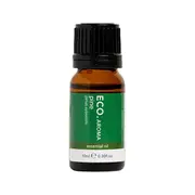 Eco Modern Essentials ECO. Modern Essentials Essential Oil Pine 10ml