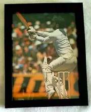 GREG CHAPPELL CRICKET SIGNED IN PERSON and FRAMED 6 x 8 INCH PRINT