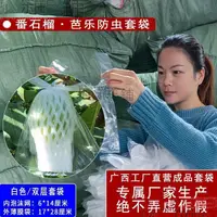 在飛比找樂天市場購物網優惠-芭樂套袋1000個網加透氣袋子內外壹體專用防蟲袋番石榴網套袋