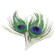Feather Pendants - Peacock Feather - 4 Pieces - Z266