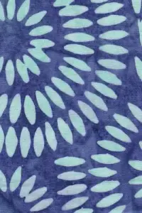 在飛比找博客來優惠-Hand-Painted Sari Quilt Compos