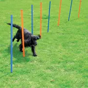 Pawise Agility Poles