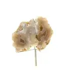 Chalcedony 271.0 Ct. Knotwork, Savoy, France