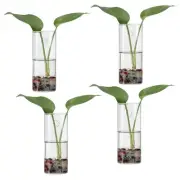 4 Pack Square Tube Vase Wall Hanging Glass Planter 5.9x2.4inch, Transparent
