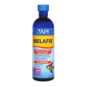 RA API Melafix - 16 fl oz