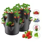With Handles Garden Planting Bag Felt Planting Nursery Pot Strawberry