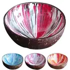 Coconut Shell Bowls Compact Hand-painted Household Salad Noodle Rice Bowls Round