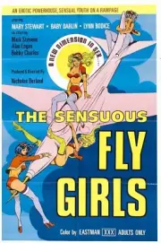 Sensuous Fly Girls 01 Movie Wall Art Poster Print Pick A Size Lot Up