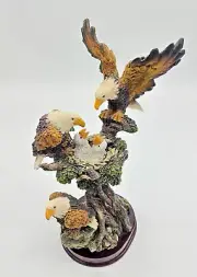 RARE Bald Eagle in tree and nest