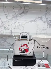 在飛比找Yahoo!奇摩拍賣優惠-熱款直購#Coach 大白兔 Rogue 25 內置搭扣 通