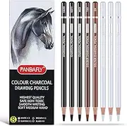 PANDAFLY Charcoal Pencils Drawing Set, 8 Pieces Black White for Sketching, Shading, Blending, Colored for Beginners & Artists