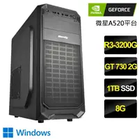 在飛比找momo購物網優惠-【NVIDIA】R3四核GT730 Win11{星海奇緣}文