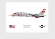 Warhead Illustrated F-14A Tomcat VF-1 Wolfpack Wichita 100 Aircraft Print