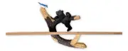 BLACK BEAR CUB & BLUEBIRD Woodland Wall Shelf, by Slifka