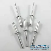 3/16" SMALL HEAD LONG REACH RIVETS - 100 PK,Super Sedan Street Stock Pop Rivet