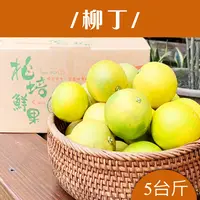 在飛比找台灣好農優惠-劍門花果園柳丁(5台斤)