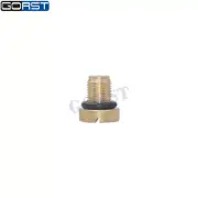 Radiator Overflow Coolant Expansion Tank Bleed Screw Brass 17111712788 for BMW (for: BMW)
