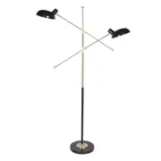 Adjustable Two Light Lamp Black and Gold Finish