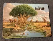 Animal Kingdom Postcard Clive Kay Tree Of Life zebra giraffes elephants Disney
