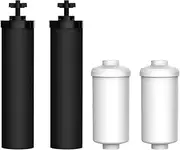 AQUACREST SSCF-9 Replacement Water Filter, Compatible with British Berkefeld SSCF-9 9-Inch Ceramic Filter (Package may vary)(Pack of 2)