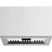 Falmec Milano+ 120cm Deep Undermount Rangehood - Stainless Steel
