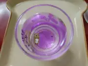 Moving Owl Soju Cup