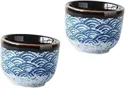 Ciieeo 2Pcs Japanese Style Glazed Sake Cup Elegant Sake Serving Cups for Home Entertainment Capacity Present for Tea Parties and Special Occasions