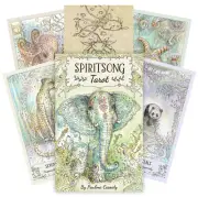 Spiritsong Tarot Deck Cards Paulina Cassidy Esoteric Us Games Systems SST78