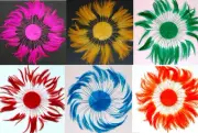 FULL PINWHEEL FEATHERS - Top Quality Hackle MANY COLORS (Halloween/Costume)