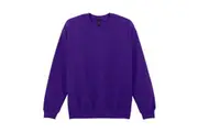 Gildan Mens Softstyle Midweight Sweatshirt (Purple) - UTPC5651