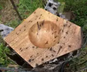One-of-a-Kind Handcrafted Abstract Mango Timber Wooden Bowl, Jewellery, Keys