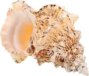 HOOTNEE Conch Shell Home Decor Natural Shell Ornament Large Seashell for Fish Tank Decorations