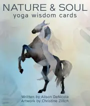 Nature & Soul Yoga Wisdom Cards by Alison DeNicola NEW Sealed pub. July 2020