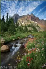 Jigsaw puzzle Landscape Beautiful Day 1000pc NIB